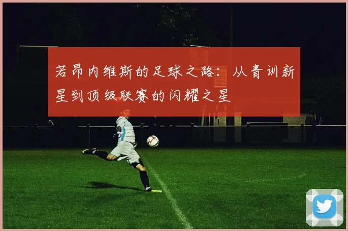 若昂内维斯的足球之路：从青训新星到顶级联赛的闪耀之星